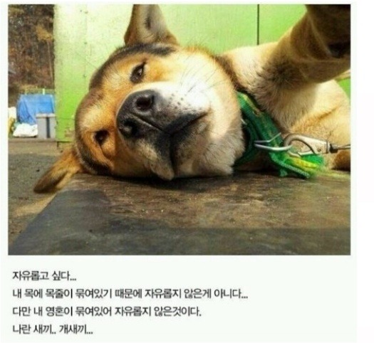 자유롭고싶다.JPG